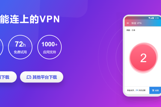 letsvpn 是否支持按流量计费的付费方式？